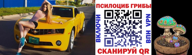 Галлюциногенные грибы MAGIC MUSHROOMS  купить наркотик  darknet официальный сайт  Батайск 
