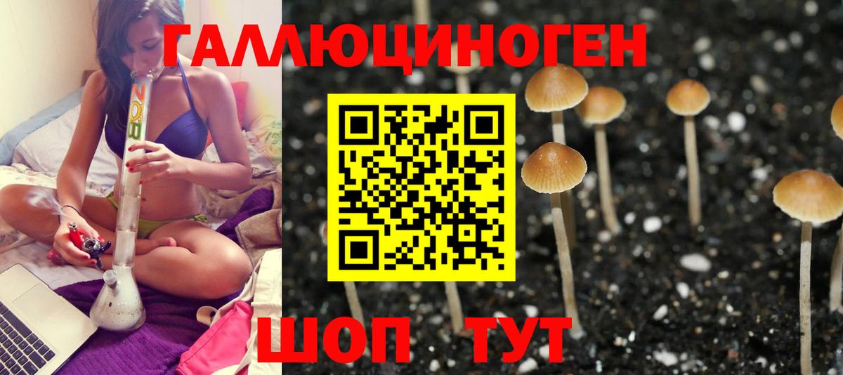 Псилоцибиновые грибы GOLDEN TEACHER  Псилоцибиновые грибы ЛСД  Вход с VPN  Батайск 